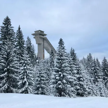 Franka - Власич